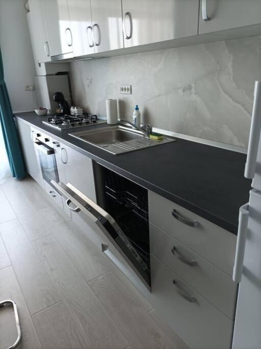 Apartment Rebreanu Lux